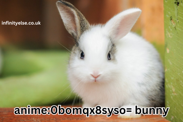 anime:0bomqx8syso= bunny