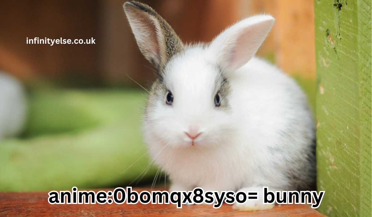 anime:0bomqx8syso= bunny