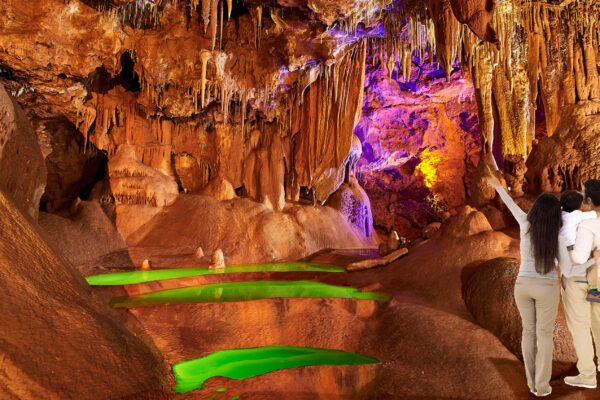 salta la coda biglietto d'ingresso oscuro alla grotte de baume